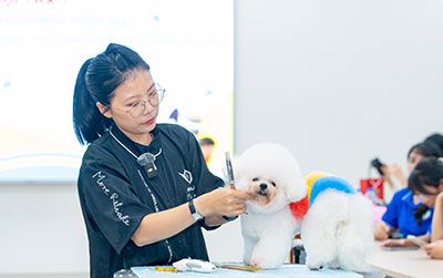 Grooming hiện đại mở rộng biên độ nghề Thú y cho người trẻ