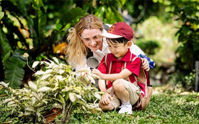 Vai trò của nhà trường trong hành trình phát triển của trẻ