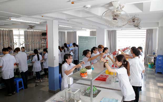 Mô hình đào tạo 9+ Cao đẳng: Hướng đi mới có việc làm ngay cho học sinh và chọn trường ĐH uy tín ngay từ lớp 10 - ảnh 2 Mô hình đào tạo 9+ Cao đẳng: Hướng đi mới có việc làm ngay cho học sinh và chọn trường ĐH uy tín ngay từ lớp 10 - ảnh 2